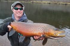 White River Fishing Guides Arkansas - Trophy Brown Trout White River Arkansas - Fly Fishing White River